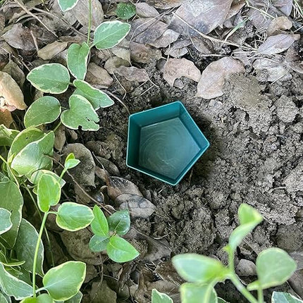 Lot de 6 pièges à limaces - E-menage