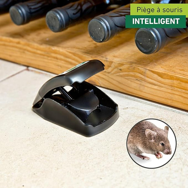 Piège à Souris - E-menage