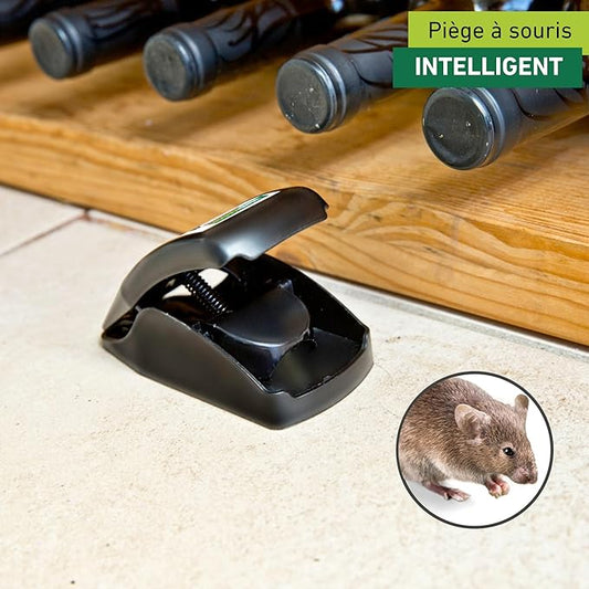 Piège à Souris - E-menage