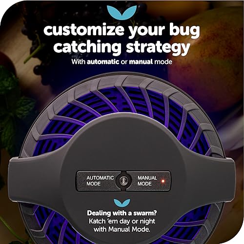 Katchy Midnight - Piège à insectes d'intérieur avec réglage automatique - E-menage