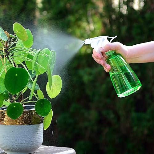 Youngever - lot de 6 flacons vaporisateurs - E-menage