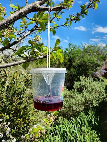 VVTrap - Lot de 2 Piège à frelons asiatiques sélectif Vespa Velutina - E-menage