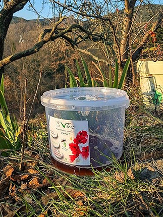 VVTrap -  Lot de 2  Piège à frelons asiatiques sélectif Vespa Velutina