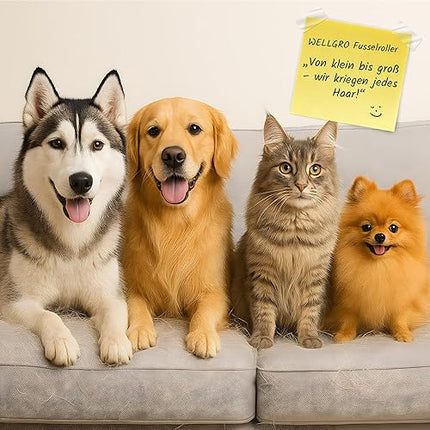 wellgro- lot de 10 rouleaux de peluches - E-menage