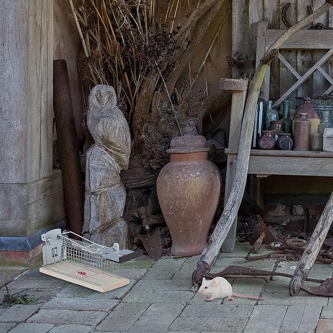 Piège à souris et rat en HLP - E-menage