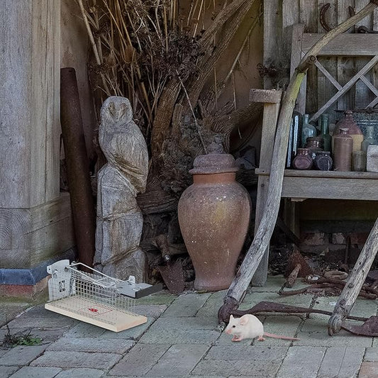 Piège à souris et rat en HLP - E-menage