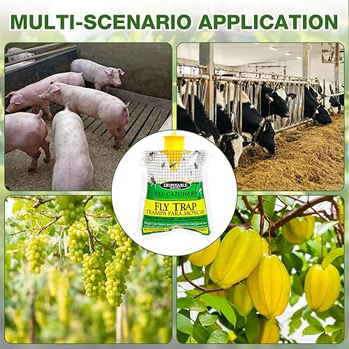 AOOWU - 3 Pièges à moustiques , mouches pour intérieur extérieur - E-menage
