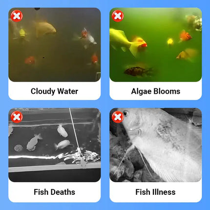 Nettoyant pour eau d’aquarium – 100 ml | Clarifiant puissant anti-algues | Purificateur d’eau pour poissons – Élimine boues, taches et impuretés | Agent d’entretien écologique pour aquarium propre