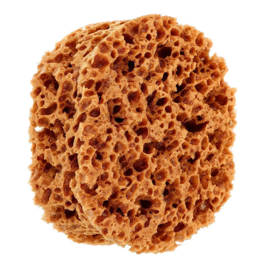 Seaweed Sponge Tool Natural Sea Sponges for Painting Light Brown Drywall Texture Walls Furniture DIY Supplies Paint Sponges