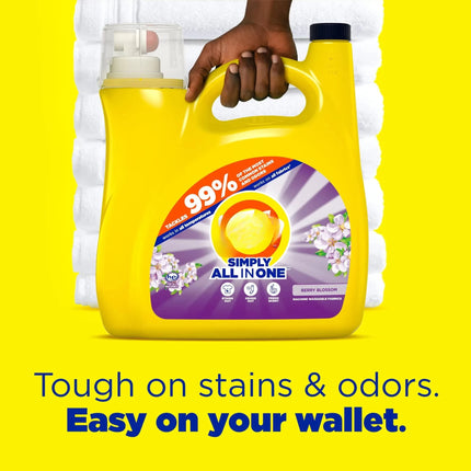 117 fl oz Liquid Laundry Detergent, Berry Blossom Scent for 89 Loads, HE Compatible & Stain Fighting