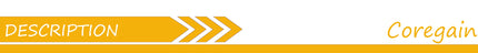 Grattoir multifonction pour vitres - E-menage