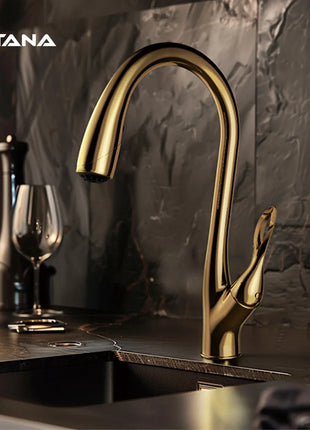 AITANA Modern Luxury Golden Brass Kitchen Faucet Pull-Out Design Single Handle for Hot And Cold Water 3 Functions Sink Faucet