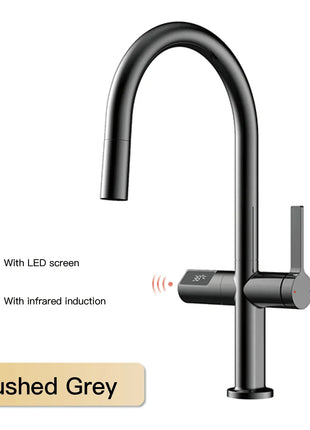 Luxury brass gun gray kitchen faucet LED digital sensing design single handle hot & cold water pull-out type 2-function sink Tap