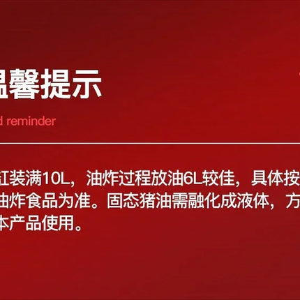 220V Professional Fryer Electric Cookware for Kitchen Deep French Fries Commercial Fryers Frying Oil Cooker Timer Arfrai AE