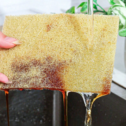Lot de 5 ou 10 éponges en microfibre de sisal