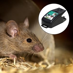 Piège à Souris - E-menage