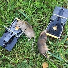 ASPECTEK - 6pcs de  Piege à Rat