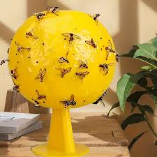 Ataoyus - Lot de 8 pièges à Mouches de Fruits - E-menage