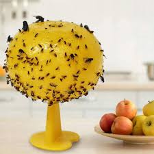 Ataoyus - Lot de 8 pièges à Mouches de Fruits - E-menage